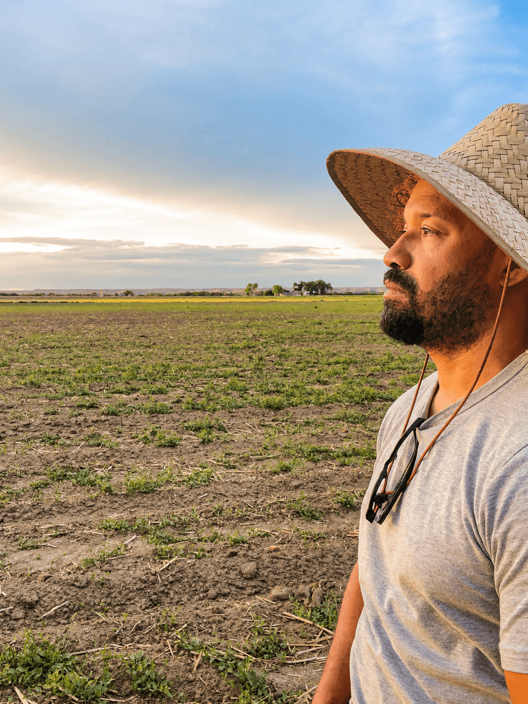 Black farmer harvesting crops